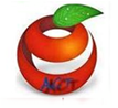 ACT Solutions logo